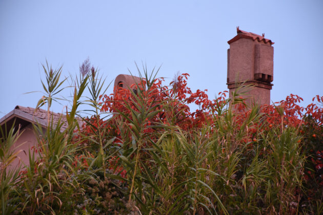 D.Rotar - barve jeseni