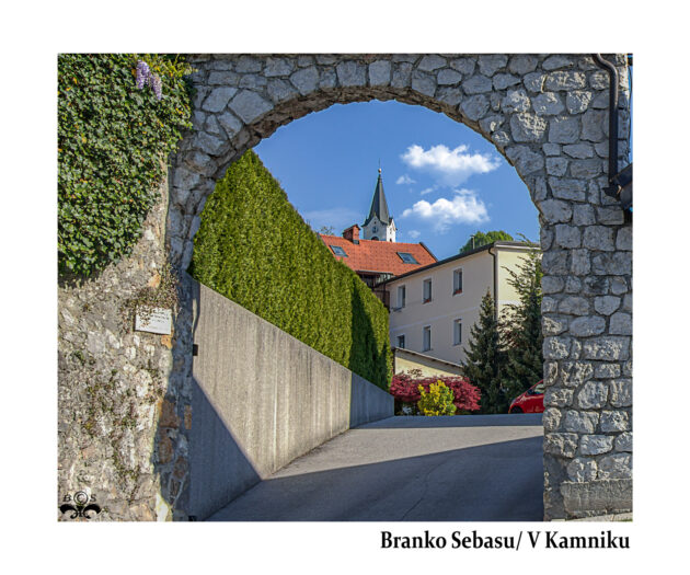 Branko Sebasu_v kamniku