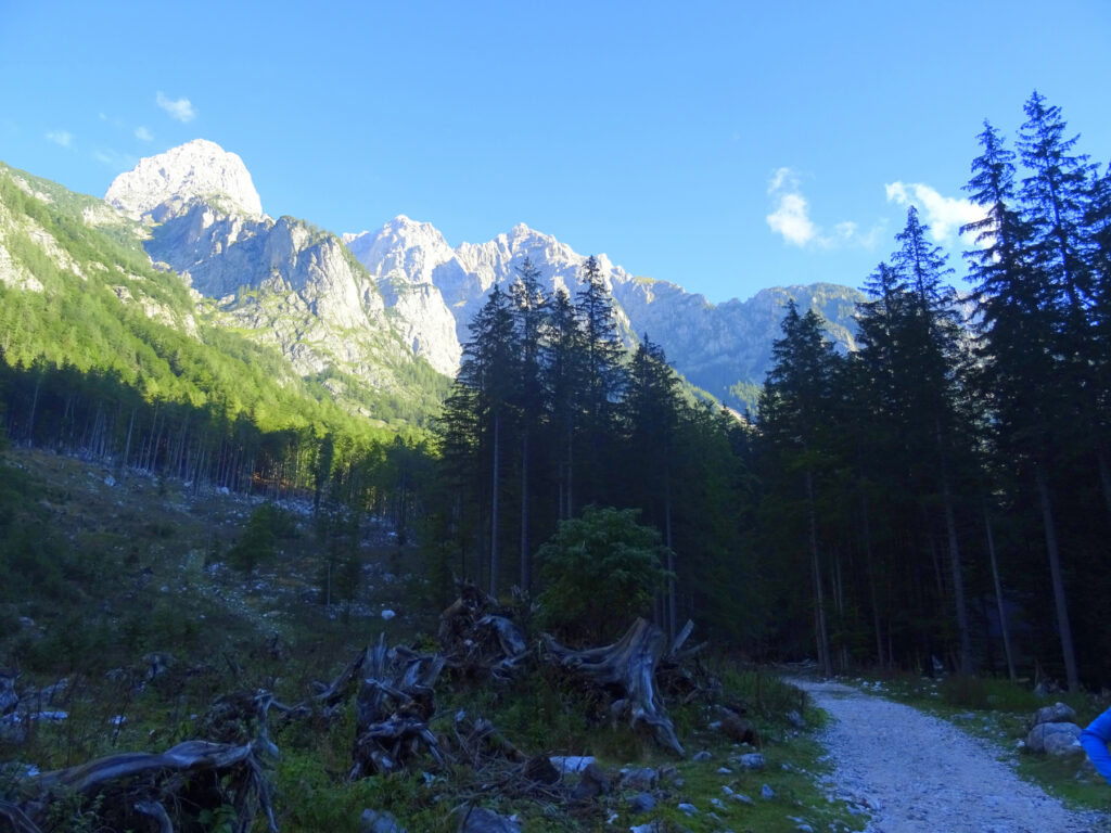 V hribih se dela dan