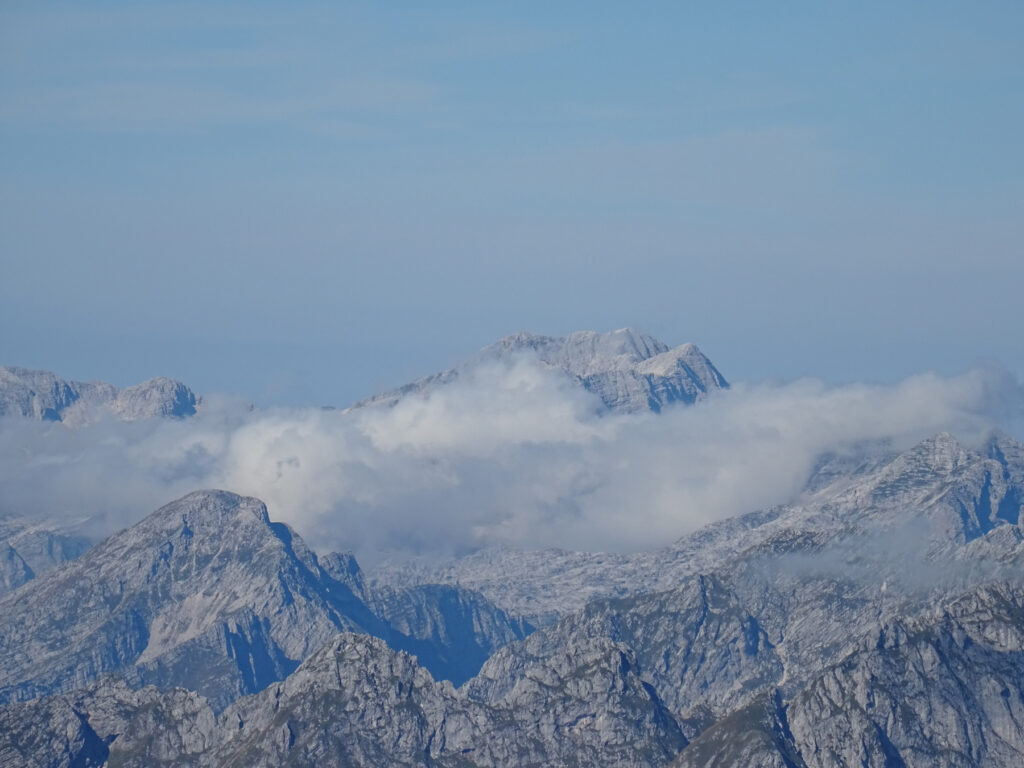 D.Rotar, Škrlatica