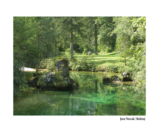Jure Novak_Bohinj