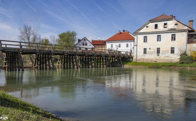 B.S. Kostanjevica (6)