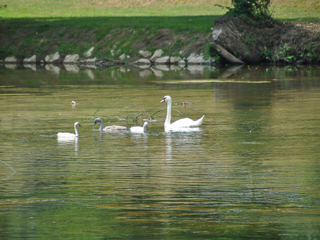 01-DSC_0569Fotkar_2502