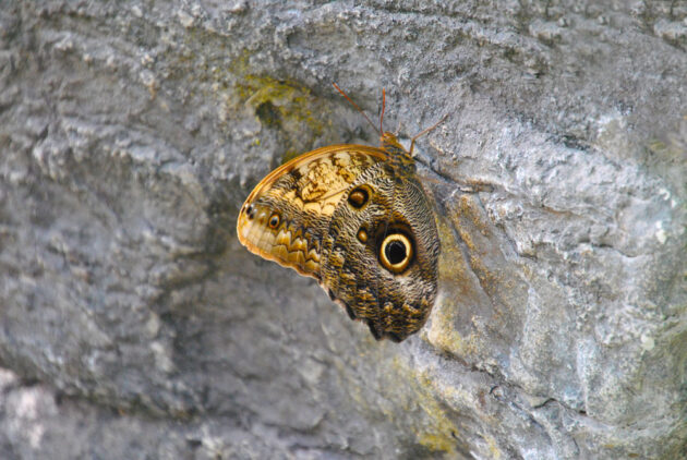 07-DSC_0402Fotkar_2246