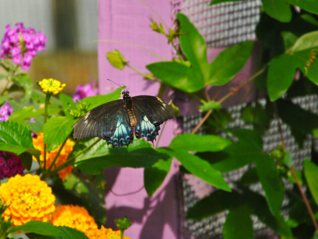 08-DSC_0405Fotkar_2249