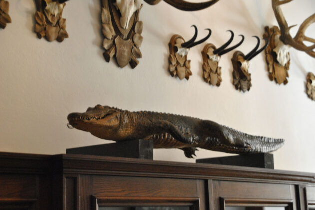 09-DSC_0475Fotkar_2319