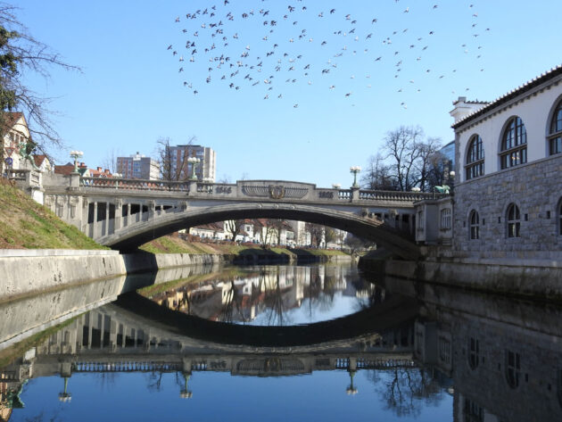 Karol Šmuc - Ljubljanica