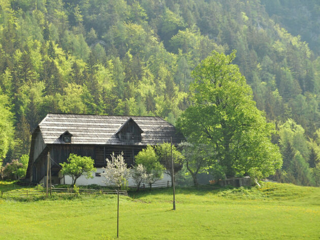 Karol_Šmuc_Domačija_40