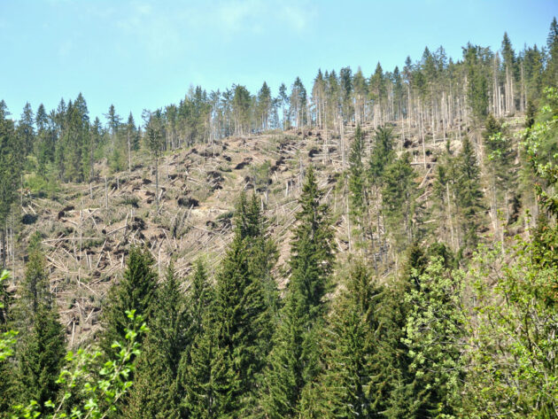 Karol_Šmuc_Vetrolom