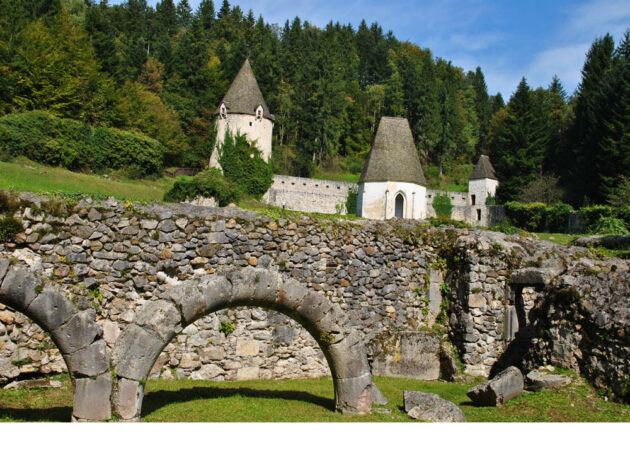 karol šmuc_krtuzija